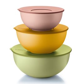 Набор контейнеров для хранения продуктов Everywhere Bio, 3 шт., Guzzini