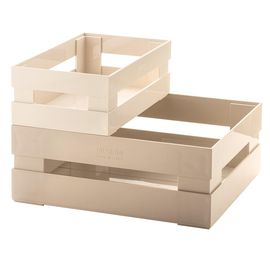 Набор ящиков Tidy&Store, бежевый, 2 шт., Guzzini
