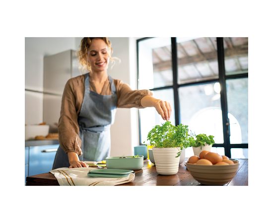 Кашпо для комнатных растений Tierra, бежевое, Guzzini, изображение 6