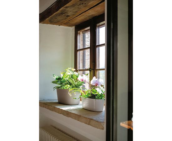 Кашпо для комнатных растений Tierra малое, бежевое, Guzzini, изображение 2