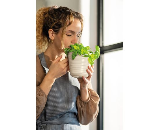 Кашпо для комнатных растений Tierra, молочное, Guzzini, изображение 2