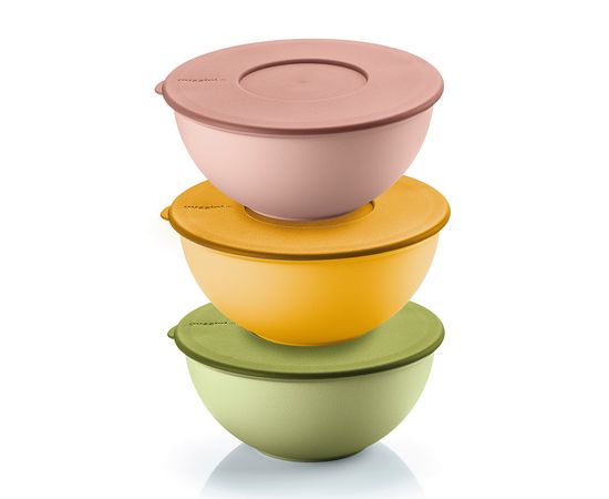 Набор контейнеров для хранения продуктов Everywhere Bio, ?16 см, 3 шт., Guzzini