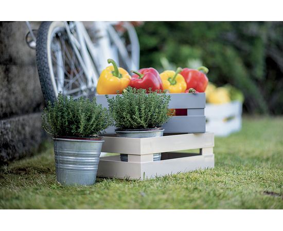 Ящик для хранения Tidy&Store, 15,3x11,2x7 см, белый, Guzzini, изображение 3